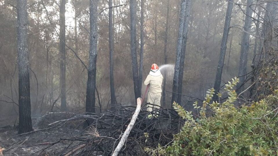 Osmaniye'de orman yangını