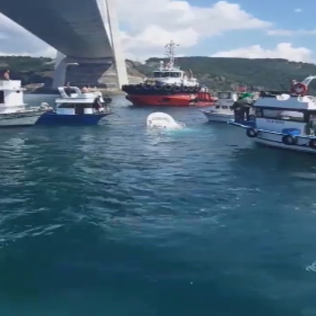 Balıkçı teknesine gemi çarptı: 2 ölü