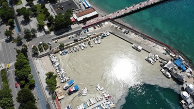 Tekirdağ kıyıları yeniden müsilajla kaplandı
