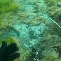 Müsilajda aldatıcı dip etkisi!