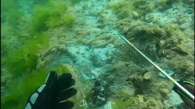 Müsilajda aldatıcı dip etkisi!