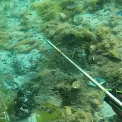 Müsilajda aldatıcı dip etkisi!