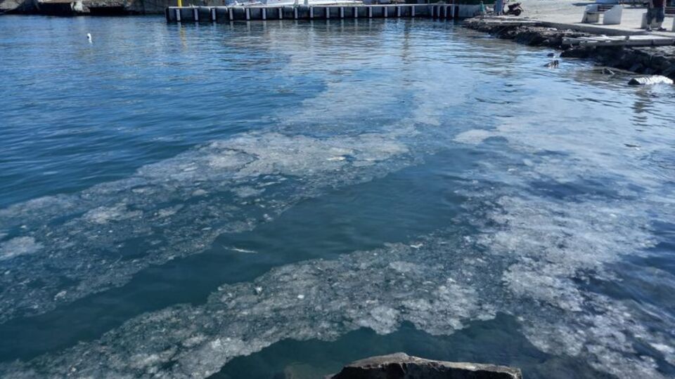 Turizm cennetinde endişe veren görüntü
