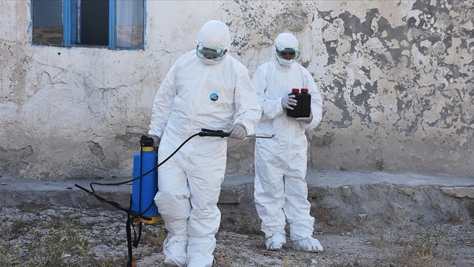 Kaldırımdaki otlar için kullanılan kimyasalların 'kanser' riski taşıdığı iddiası