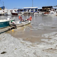 Müsilajla ilgili önemli çalışma: Parçalayıp yok edeceğiz