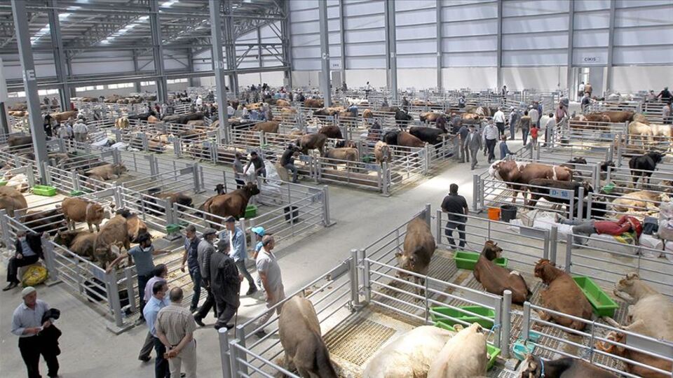 'Kurbanlıkları TÜRKVET'e kayıtlı hayvanlardan seçin'