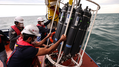 Müsilaj analizinin ilk sonucu açıklandı!