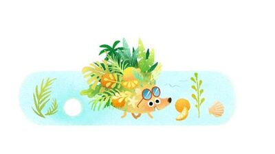 Yaz gündönümü nedir?