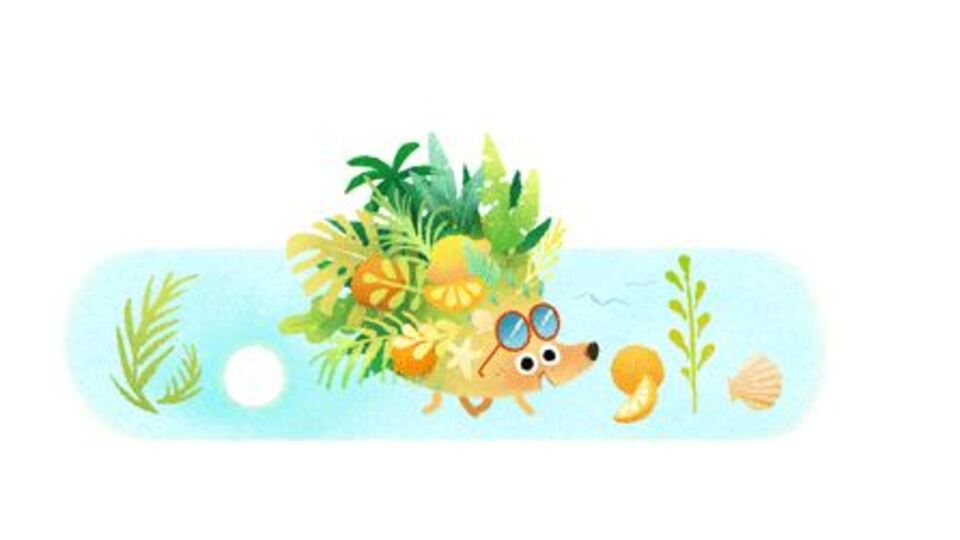 Yaz gündönümü nedir?