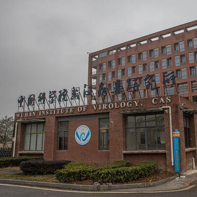 Wuhan Viroloji Enstitüsü, Çin’de en yüksek bilim ödülüne aday!