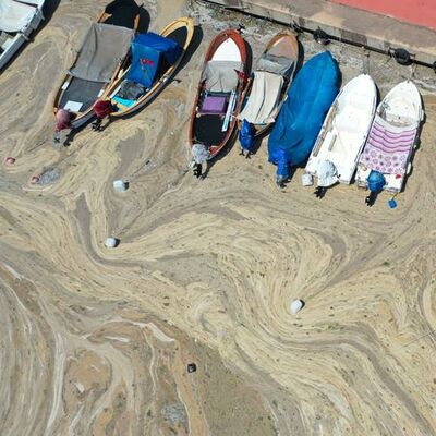 Müsilaj kuzey Ege'ye de ulaştı! İzmir'e ve Muğla'ya gider mi?