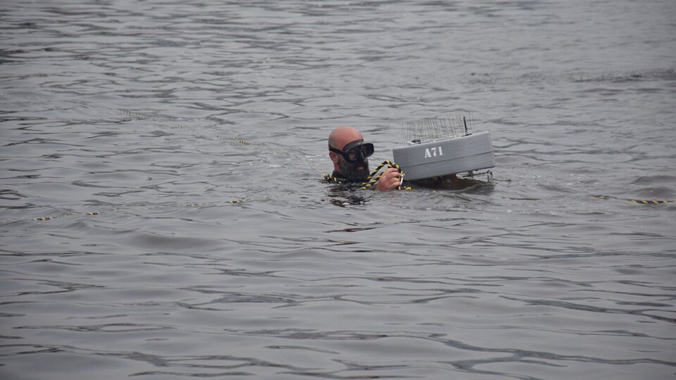 Marmara Denizi'ne oksijen takviyesi