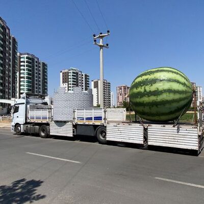 Karpuz içindeki çocuktan sonra 'gök' karpuz!