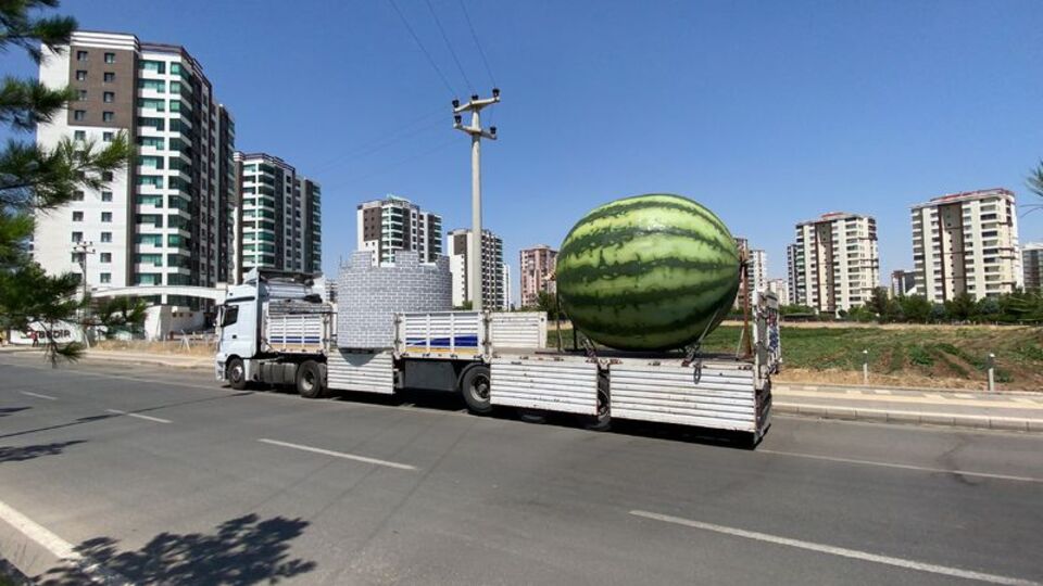 Karpuz içindeki çocuktan sonra 'gök' karpuz!