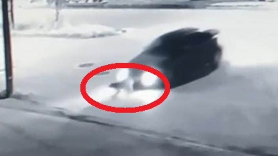 Köpeğe çarpıp metrelerce sürükledi!