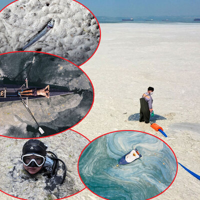 Fotoğraflarla müsilaj felaketi