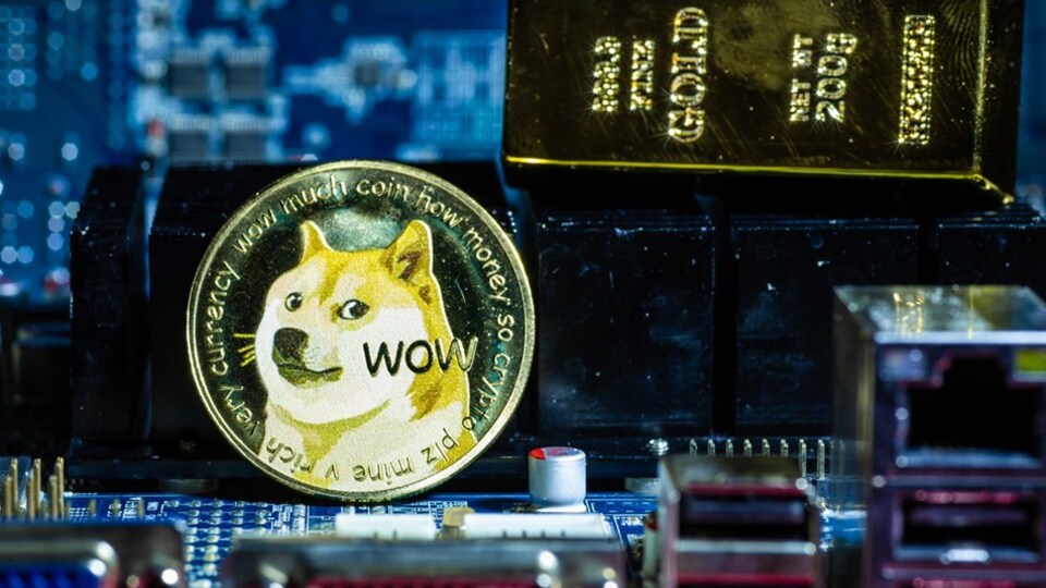 Dogecoin neden düşüyor?