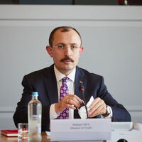 Bakan Muş: Mersin Limanı'nda 463 kilogram kokain ele geçirildi