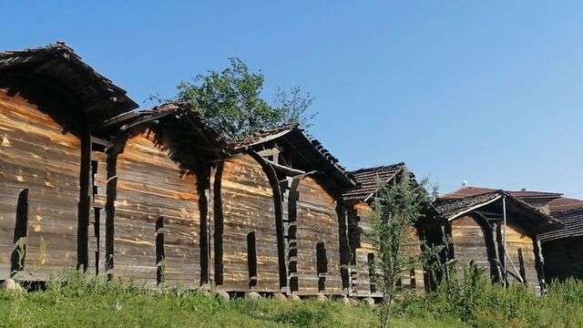 Çam ağacından inşa edildi... 350 yıllık!