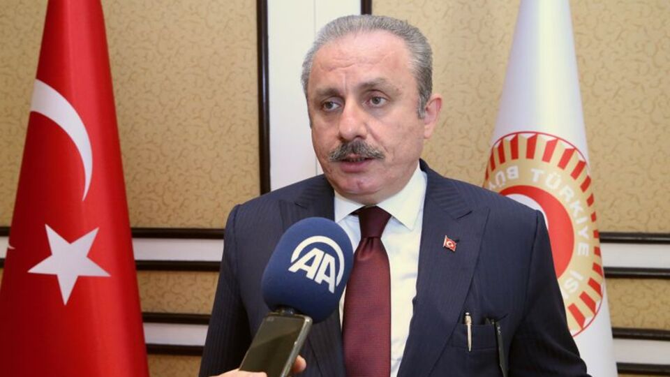 Şentop'tan 'terörle mücadele' değerlendirmesi