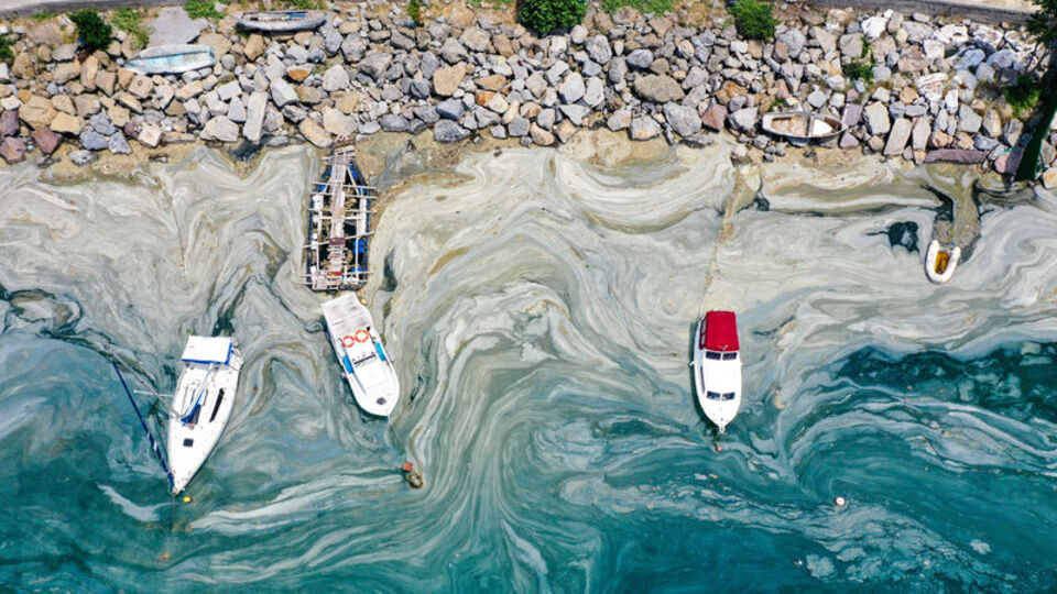 Yeni müsilaj raporu! 2-3 saatte oksijeni yok ediyor!