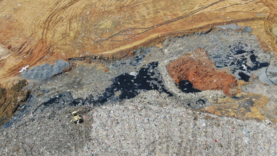 Marmara'nın müsilaj deposu