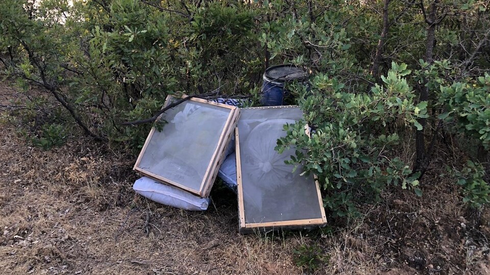 Bingöl'de zehir tacirlerine darbe!