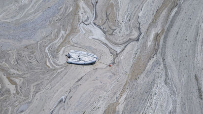 Yunanistan müsilajları inceliyor!