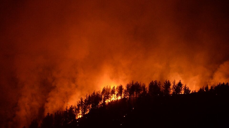 Kahramanmaraş'ta iki noktada orman yangını