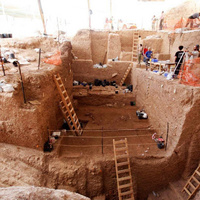 Yeni bir antik insan türü keşfedildi