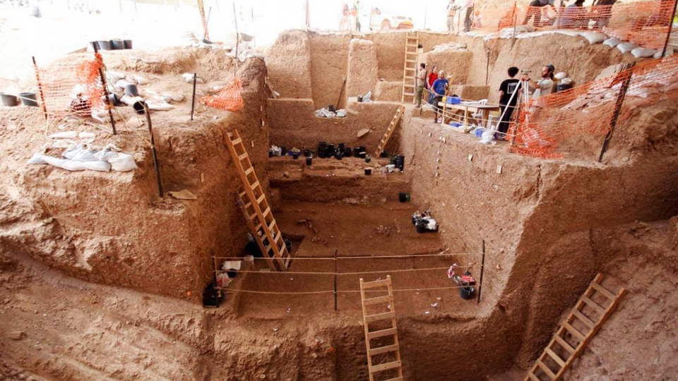 Yeni bir antik insan türü keşfedildi