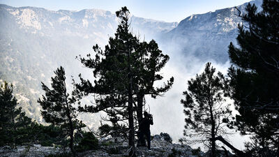 Mersin'de dün çıkmıştı! Yangın sürüyor!