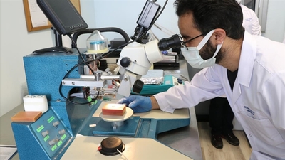 Akciğer ve lenf kanserini erken teşhiste kullanılacak biyosensör geliştirildi