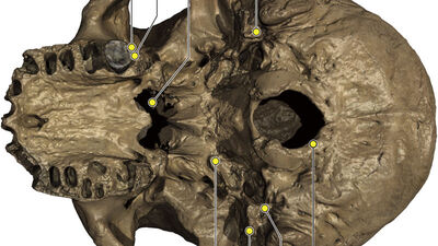 85 yıl boyunca saklanmıştı! 'Ejderha Adam'ın sırrı