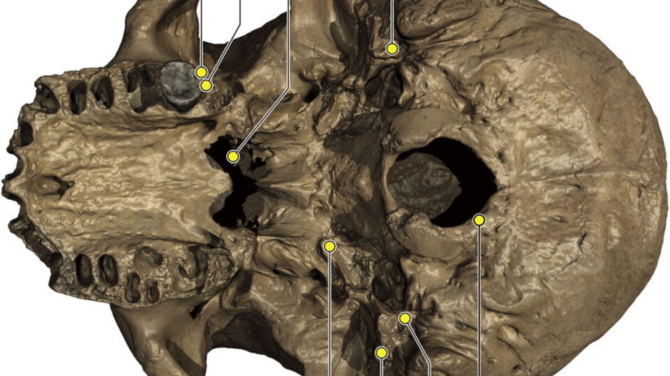 85 yıl boyunca saklanmıştı! 'Ejderha Adam'ın sırrı