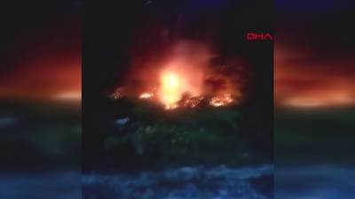 Düğün sırasında ormanı yaktılar!