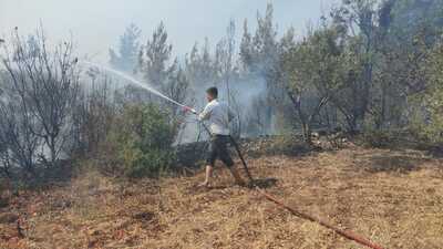 Bir orman yangını da Osmaniye'de çıktı!