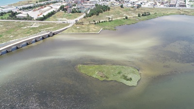 Büyükçekmece Gölü'nün rengi değişti!
