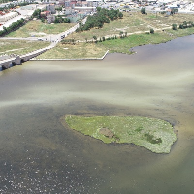Büyükçekmece Gölü'nün rengi değişti!