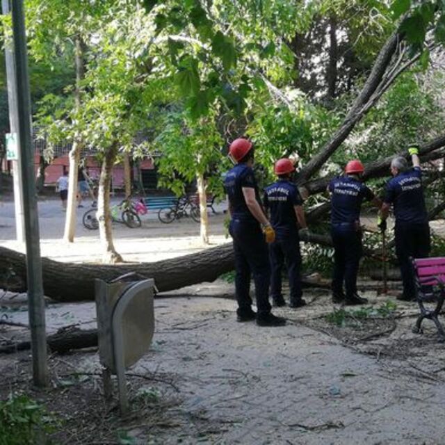 Parkta faciadan dönüldü!
