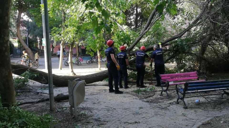 Parkta faciadan dönüldü!