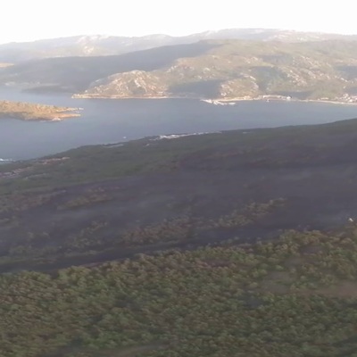 Yemyeşil orman siyaha büründü!