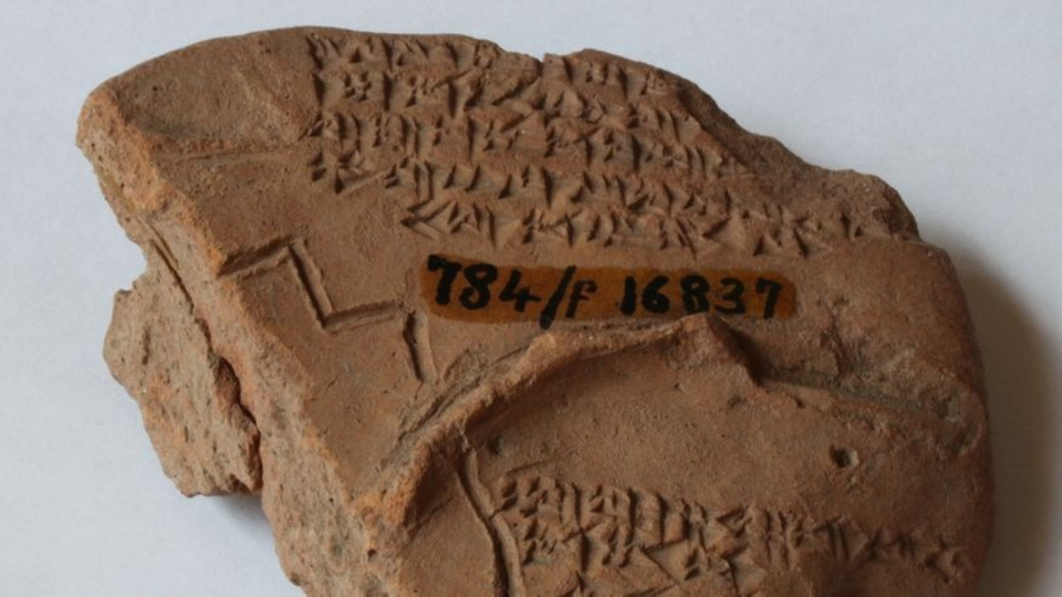 Karaciğer falı nedir?