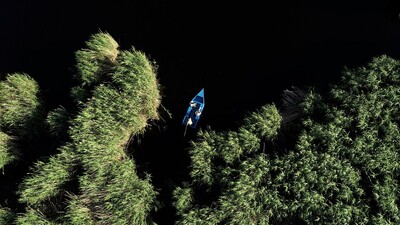 Mavi ile yeşilin buluştuğu Orta Anadolu'nun kuş cenneti
