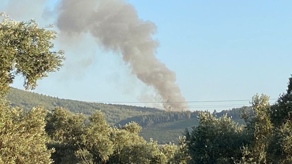 Muğla'da son 2 günde üçüncü yangın!