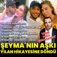 Olaylı aşkın portresi