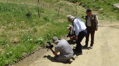 Görüntülemek için sıraya girdiler