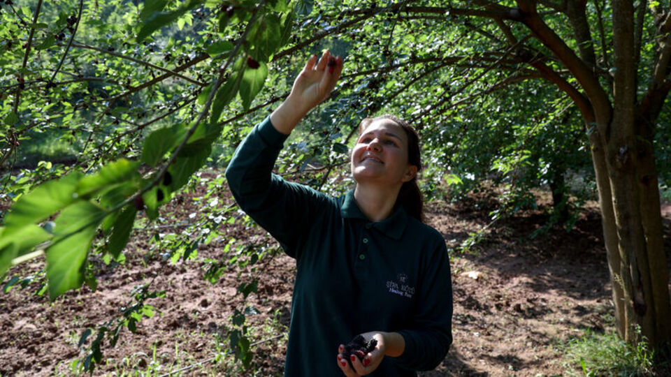 Beyaz yakalı yaşamını toprakla özgürleştirdi