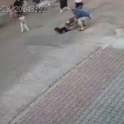 Top oynarken pitbull saldırdı!