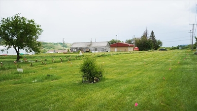 Kanada'da bir toplu çocuk mezarı daha bulundu